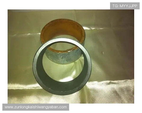 尊龙凯时注册流程详解新手玩家快速入门指南推荐