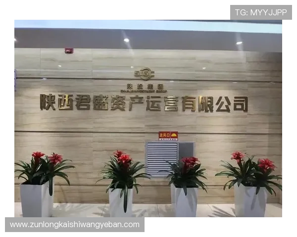 尊龙集团登录入口网址查询指南帮助玩家快速找到官方登录入口地址